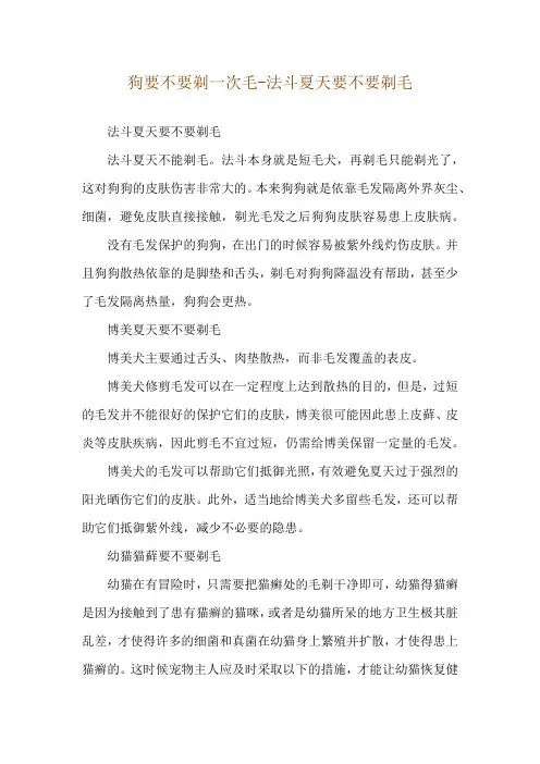 狗要不要剃一次毛-法斗夏天要不要剃毛