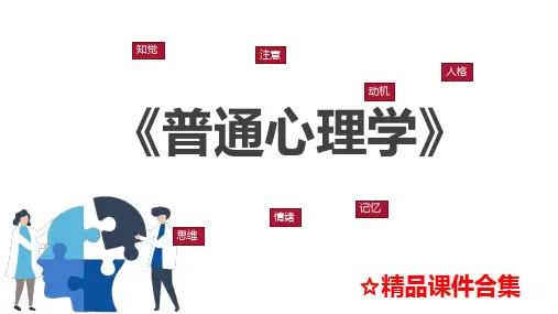 第3章 感觉和知觉《普通心理学》