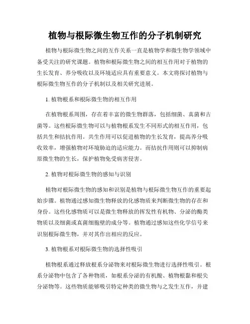 植物与根际微生物互作的分子机制研究