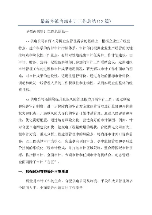 最新乡镇内部审计工作总结(12篇)