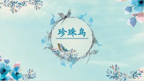 4《珍珠鸟》课件(共38张PPT)
