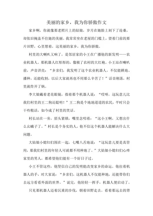 美丽的家乡,我为你骄傲作文