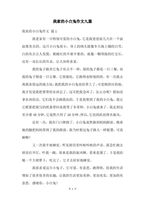 我家的小白兔作文九篇