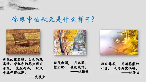 高中语文部编版必修 上册《故都的秋》课件—高中语文统编版上册 (共30张PPT)