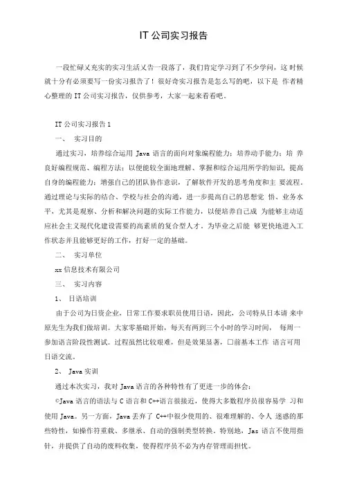 IT公司实习报告