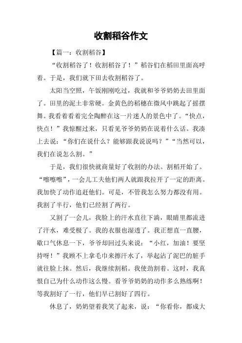 收割稻谷作文