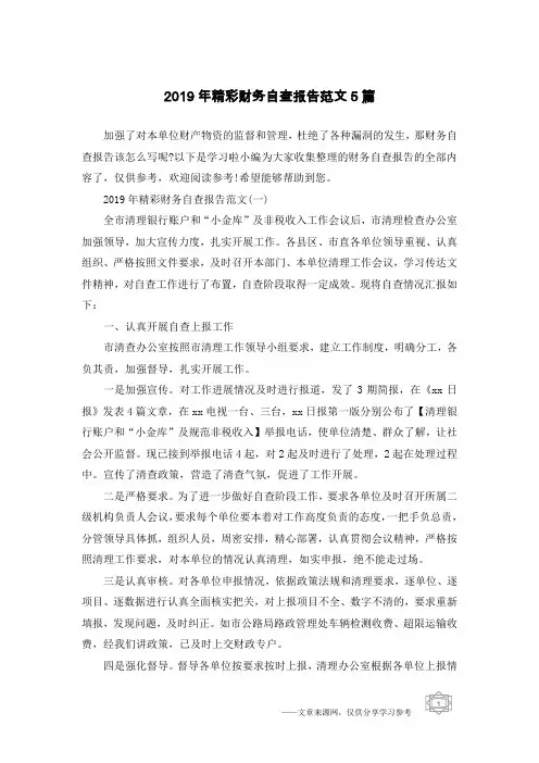 2019年精彩财务自查报告范文5篇