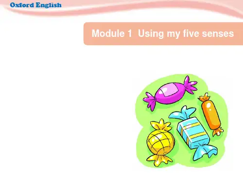 沪教牛津版四年级英语下册Module 1 Revision 1课件