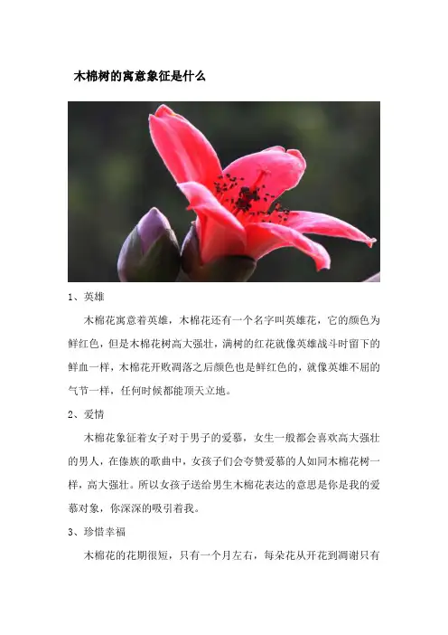 木棉树的寓意象征是什么