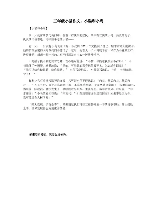 三年级小猫作文：小猫和小鸟