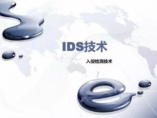 IDS技术