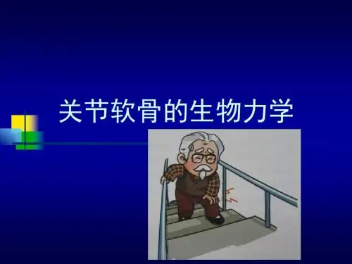 关节软骨的生物力学