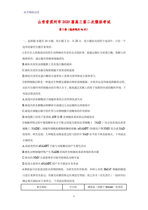 山东省滨州市2020届高三第二次模拟考试生物试题
