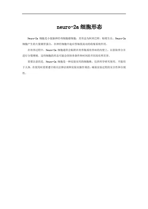 neuro-2a细胞形态