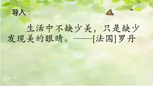 统编版三年级语文上册15.《搭船的鸟》第一课时课件 (共28张PPT)