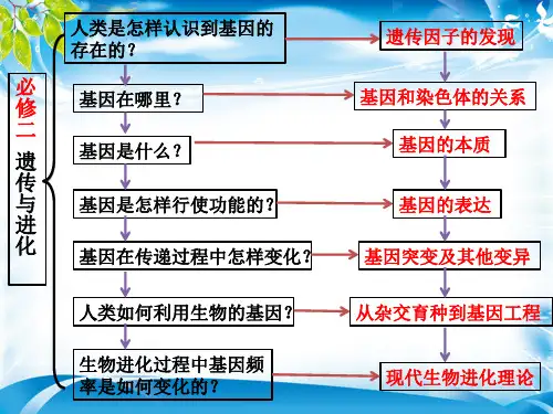 人教版高一生物必修二课件第一章第1节：孟德尔豌豆杂交实验(一)(共25张PPT)(最新版推荐下载)