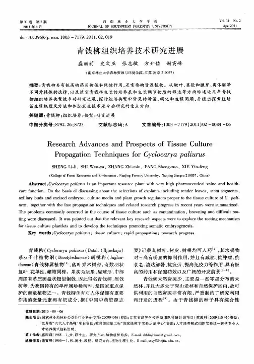 青钱柳组织培养技术研究进展