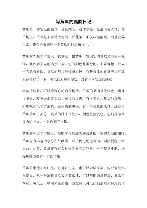 写黄瓜的观察日记