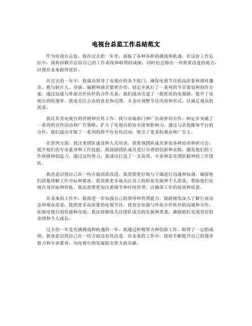 电视台总监工作总结范文