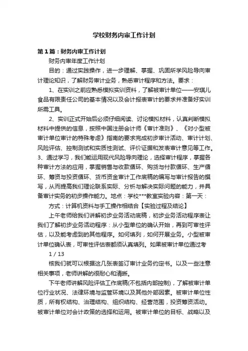 学校财务内审工作计划
