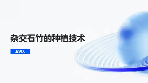杂交石竹的种植技术