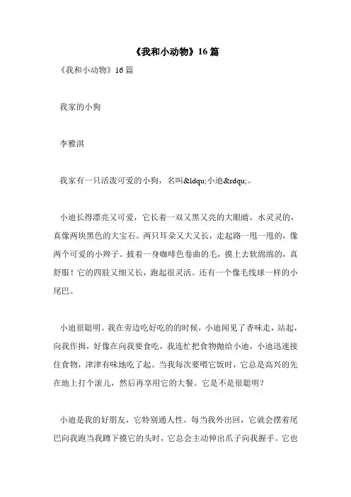 《我和小动物》16篇