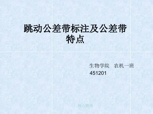 跳动公差带标注及(完整版).pptx
