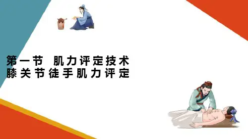 运动功能评定技术—肌力评定技术膝关节徒手肌力评定(康复评定技术课件)