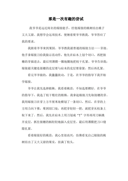 那是一次有趣的尝试