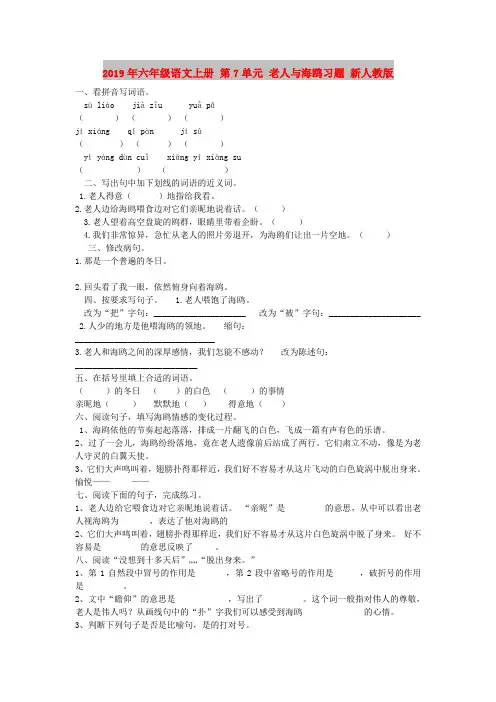 2019年六年级语文上册 第7单元 老人与海鸥习题 新人教版