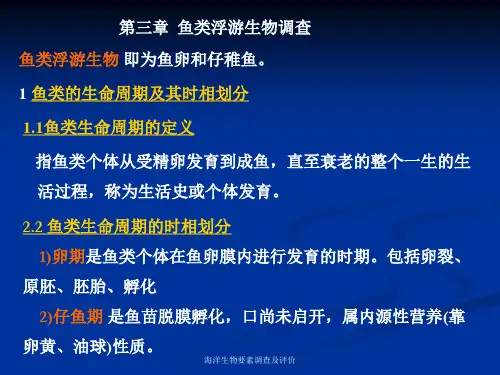 海洋生物资源调查-第3章 鱼类浮游生物调查及评价(专业知识模板)