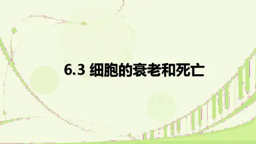 细胞的衰老和死亡ppt课件
