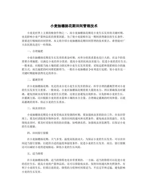 小麦抽穗扬花期田间管理技术