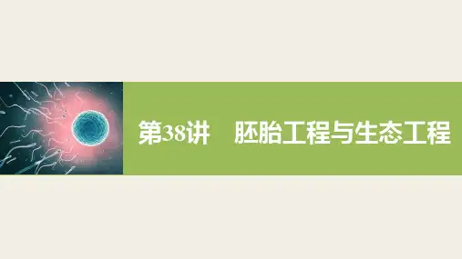 高考生物(浙科版)总复习 第十一单元 第38讲 胚胎工程与生态工程