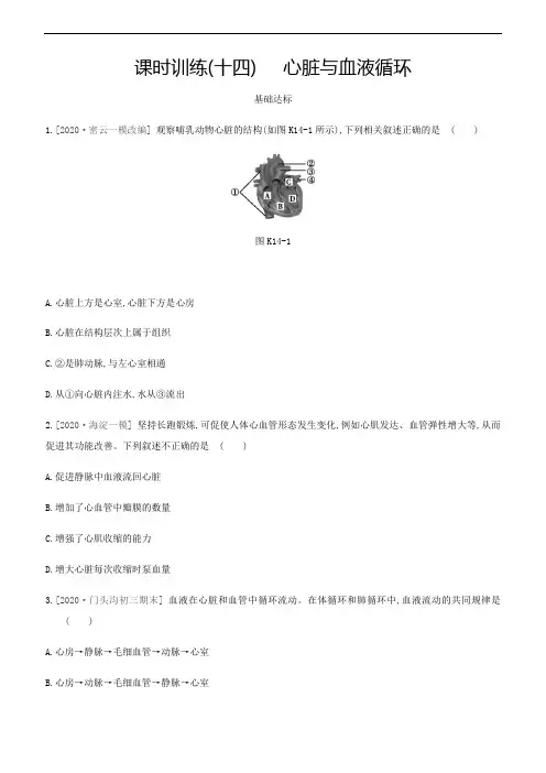 2021年中考生物一轮复习课时分层训练： 课时训练(十四)  心脏与血液循环