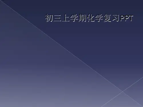 初三上学期化学复习PPT