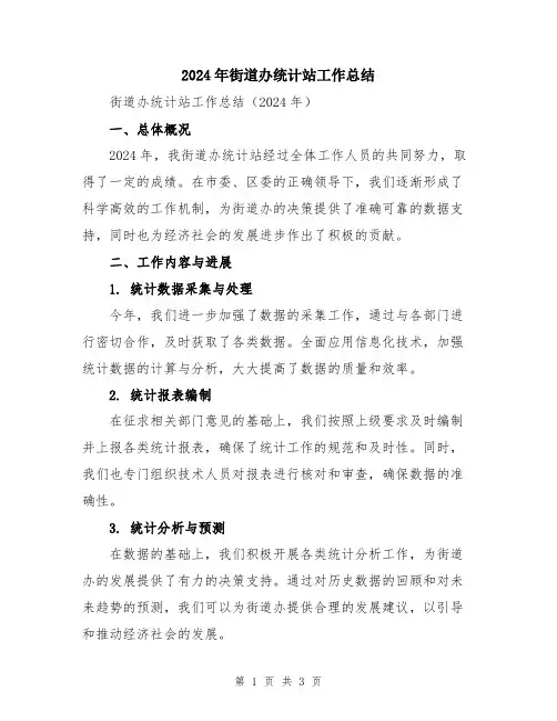 2024年街道办统计站工作总结