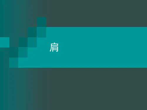 肩