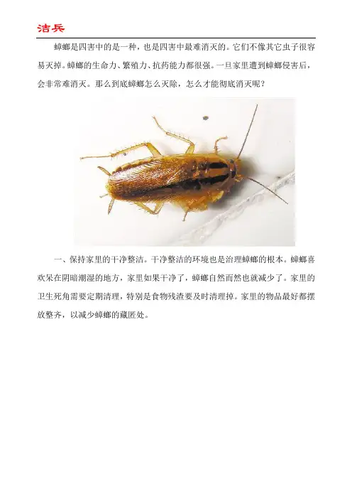 蟑螂怎么灭除