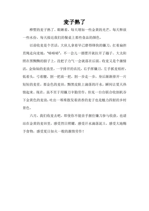 麦子熟了