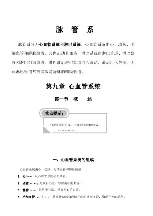 心血管系统重点总结及习题精选