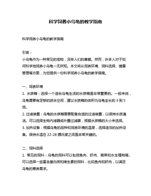 科学饲养小乌龟的教学指南