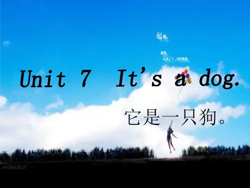 【湘少版】小学英语三年级上册：Unit 7 it's a dog(4)