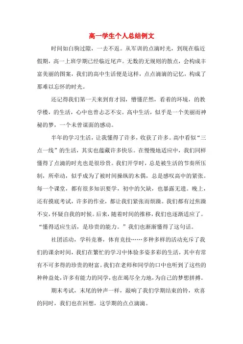 高一学生个人总结例文