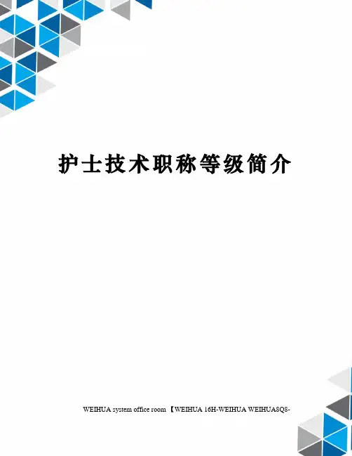 护士技术职称等级简介修订稿
