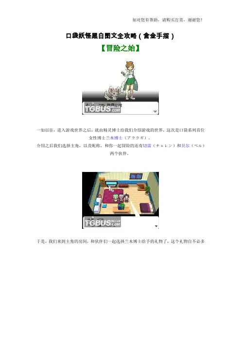 口袋妖怪黑白图文全攻略(含金手指)