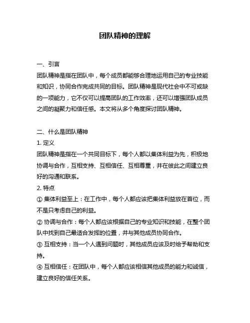 团队精神的理解