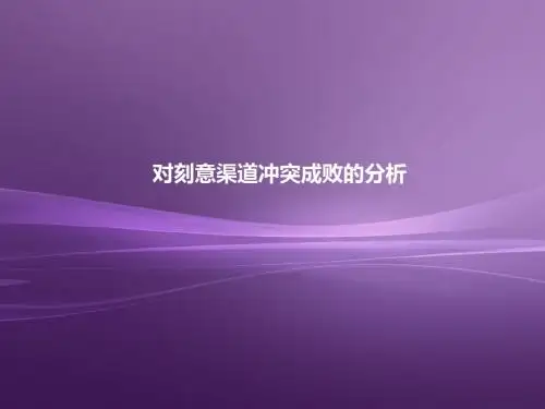 渠道冲突PPT