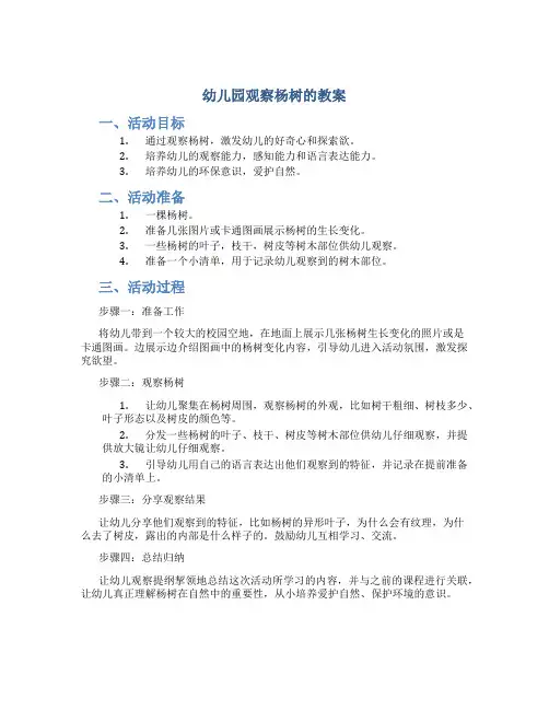 幼儿园观察杨树的教案