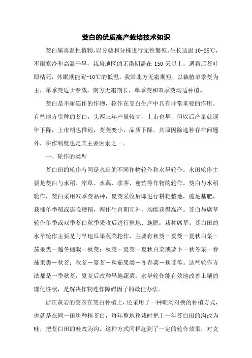 茭白的优质高产栽培技术知识